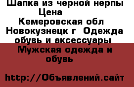 Шапка из черной нерпы › Цена ­ 4 000 - Кемеровская обл., Новокузнецк г. Одежда, обувь и аксессуары » Мужская одежда и обувь   